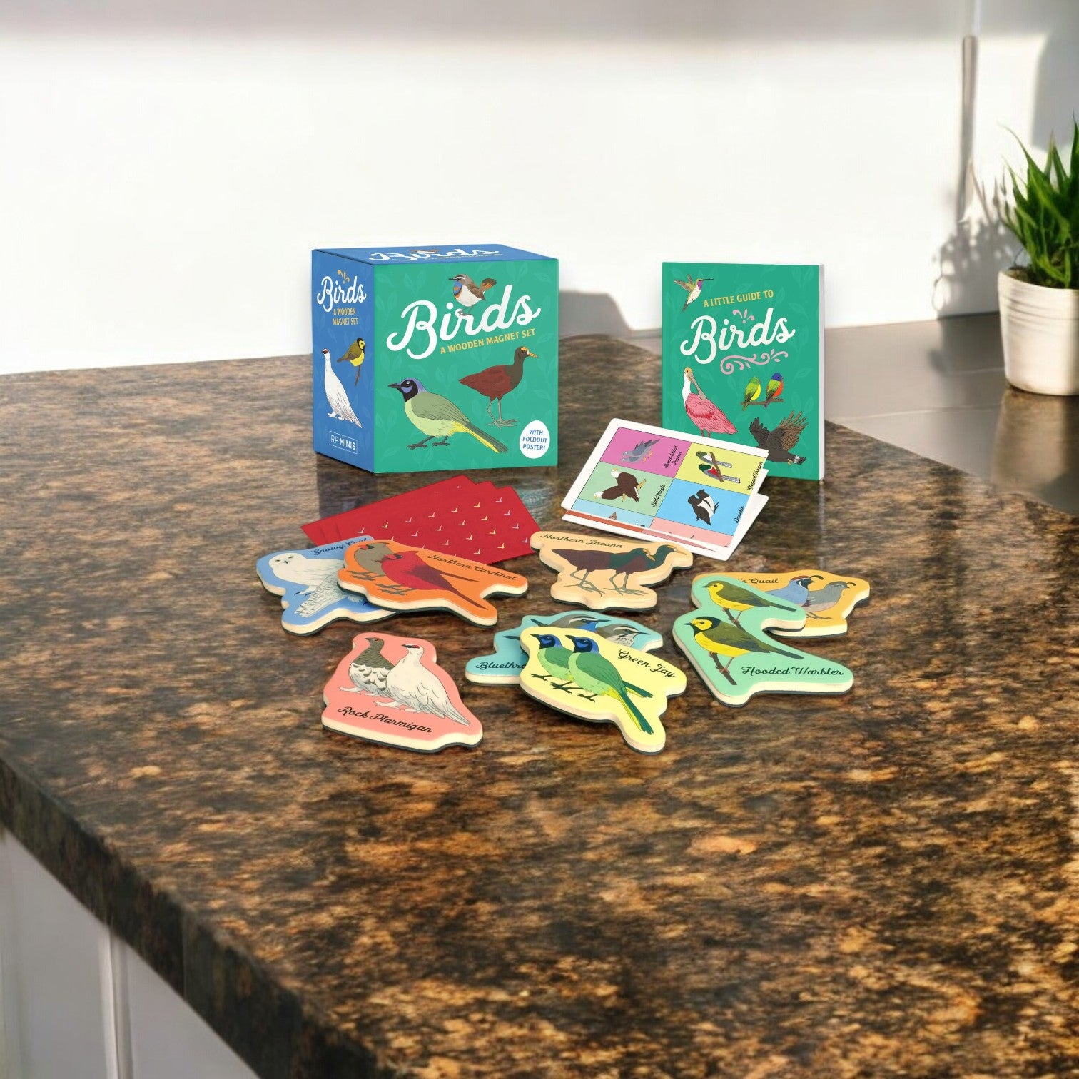 Birds - A Wooden Magnet Set - RP Mini – Mellow Monkey