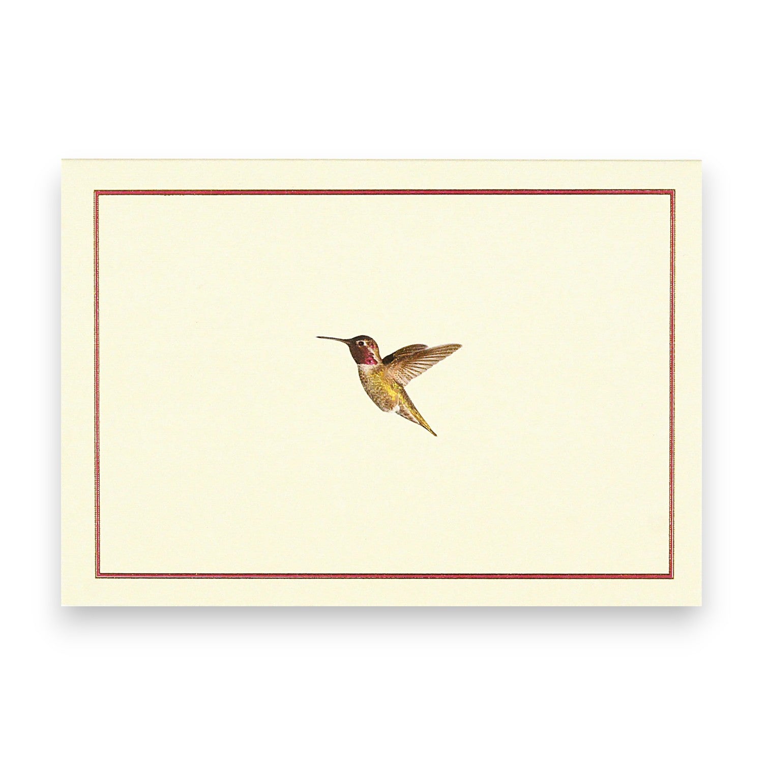 Hummingbird Note Cards - Box of 14 Cards - Mellow Monkey