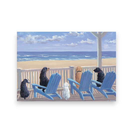 Dogs In Deck Chairs Note Cards- Box of 14 Cards - Mellow Monkey