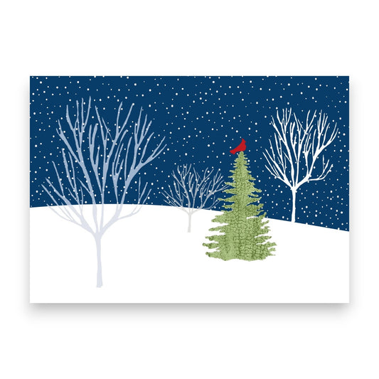 Midnight Cardinal Deluxe Boxed Holiday Cards - 20 Cards with Festive Box