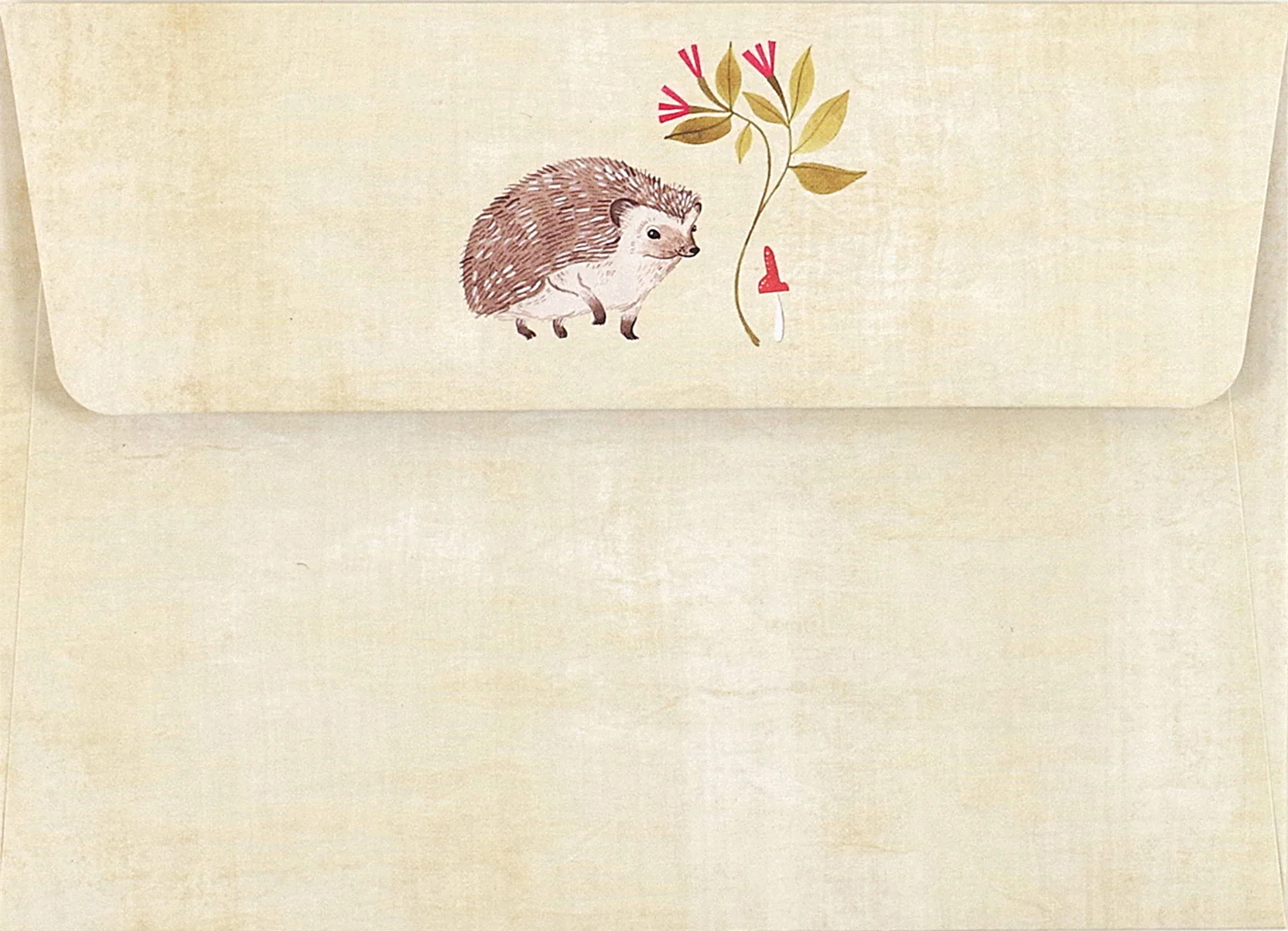 Hedgehog - Box of 14 Cards - Mellow Monkey