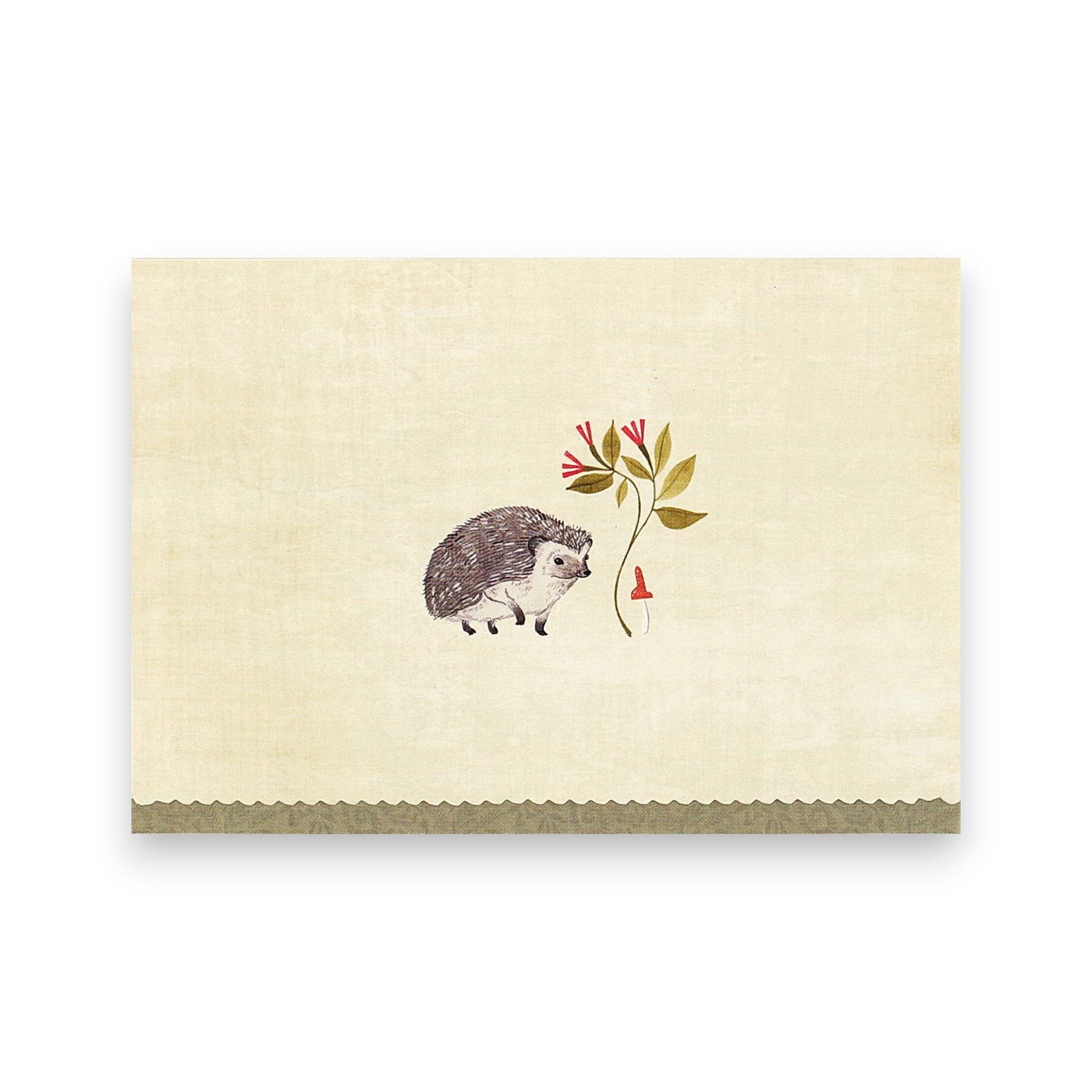 Hedgehog - Box of 14 Cards - Mellow Monkey