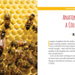 50 Ways To Save The Honey Bees - Softcover Book - Mellow Monkey