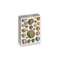 Shells - 1,000-Piece Jigsaw Puzzle - Mellow Monkey