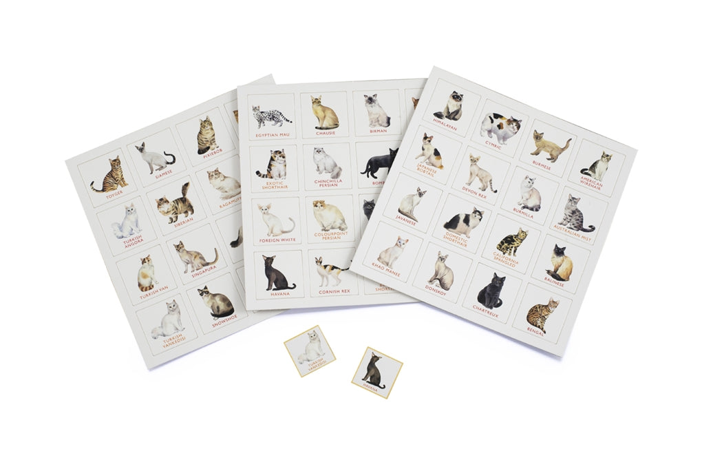 Cat Bingo - Mellow Monkey