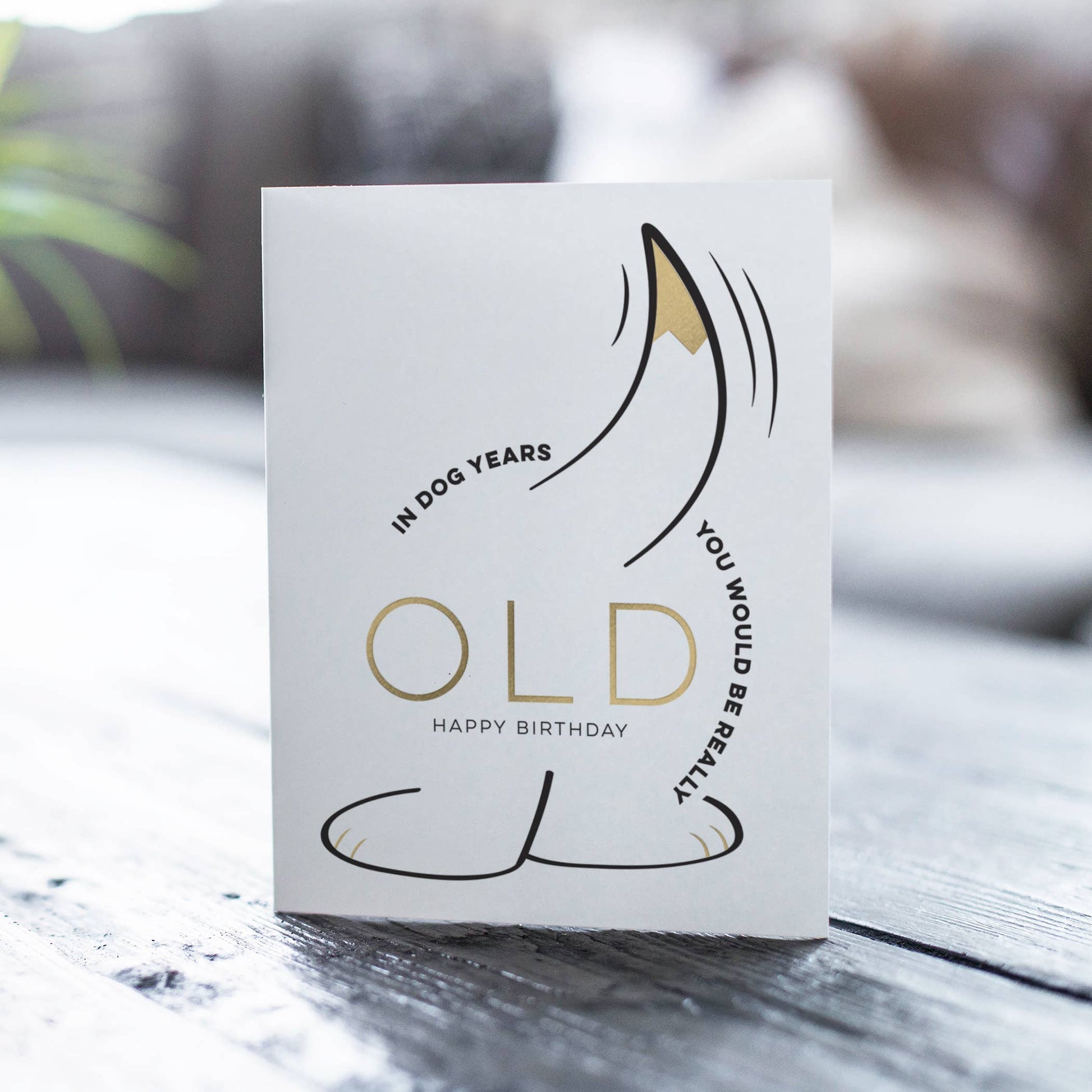 In Dog Years – Funny Birthday Card - Mellow Monkey