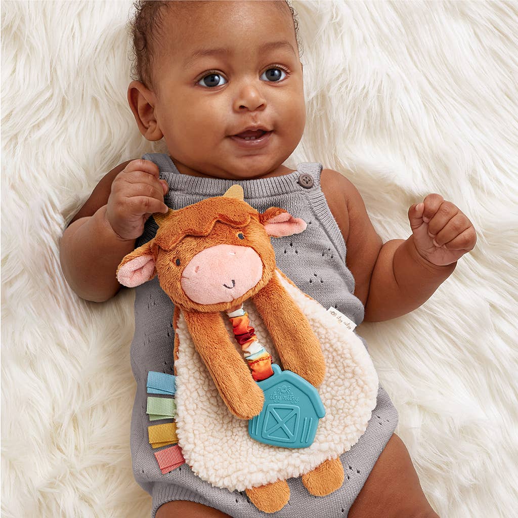 Highland Cow Itzy Friends Lovey™ Plush+ Teether Toy - Mellow Monkey