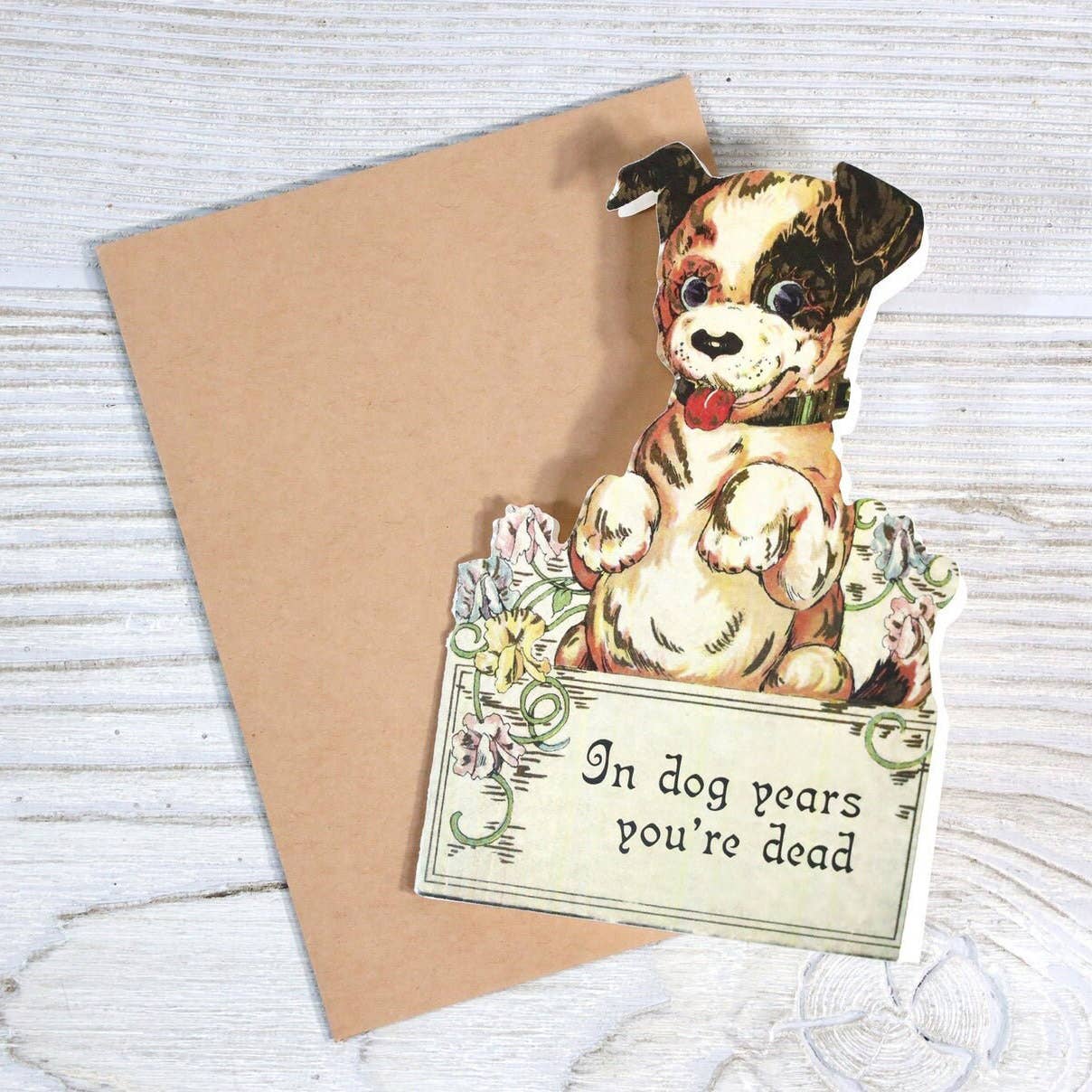 In Dog Years You're Dead - Funny Vintage Style Birthday Card - Mellow Monkey