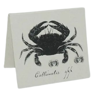 Silver Crab Stud Earrings - Mellow Monkey