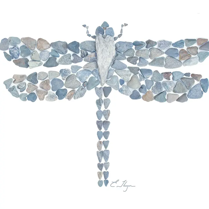 Dragonfly - Heart Shaped Beach Rocks Print - Mellow Monkey