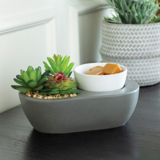 Succulent ArtScents Wax Warmer - Mellow Monkey