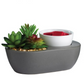 Succulent ArtScents Wax Warmer - Mellow Monkey