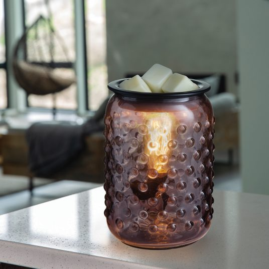 Smokey Hobnail Vintage Bulb Illumination Fragrance Warmer - Mellow Monkey
