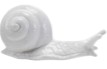 Stoneware Snail - 2.5in. - Mellow Monkey