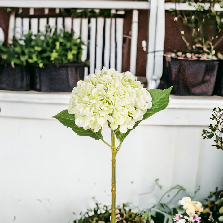 Green Hydrangea Flower - 20-in - Mellow Monkey