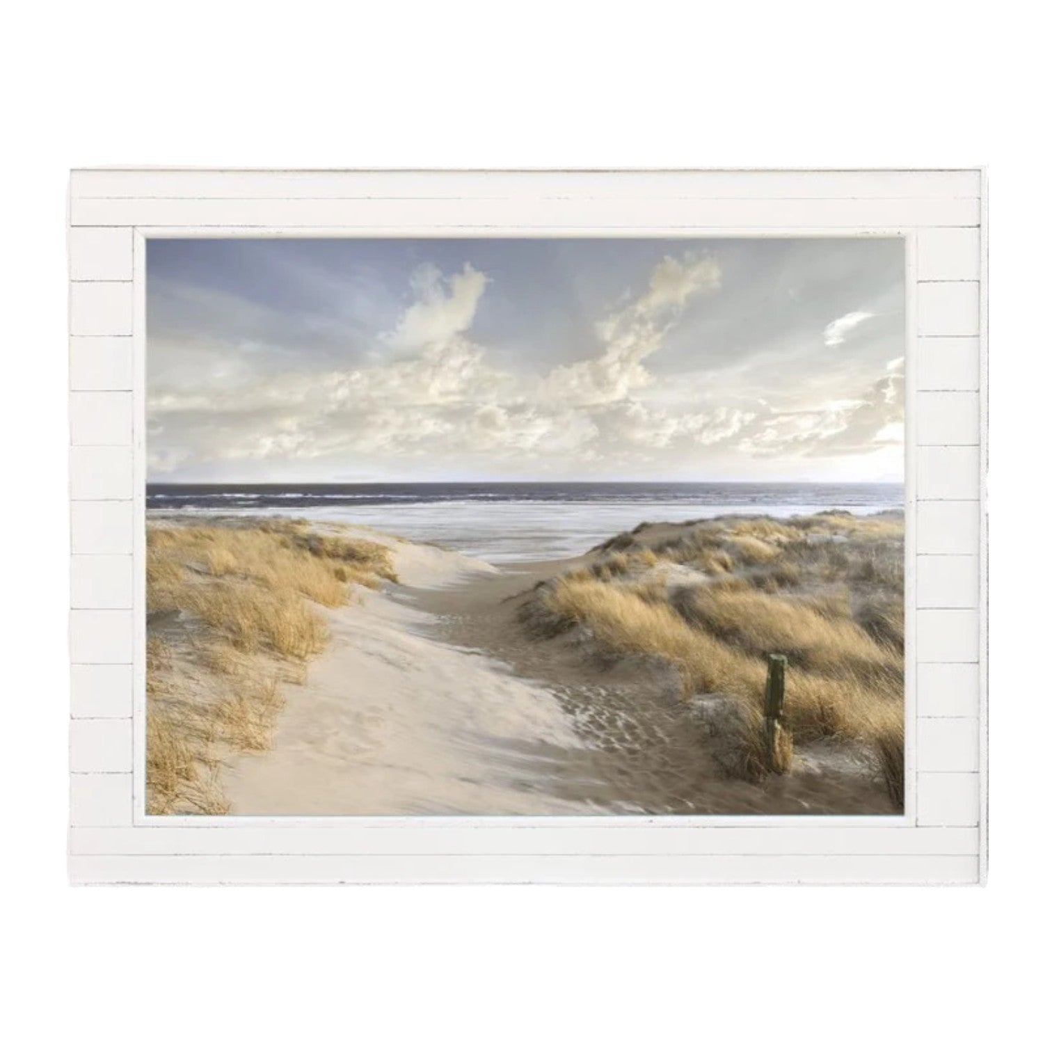 The Cape - Framed Wall Decor - 52-1/2-in - Mellow Monkey