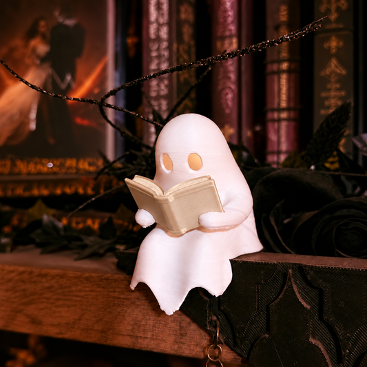 Ghost Book Reader - Beige Book