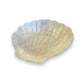 White Capiz Scalloped Clam Shaped Dish - 5-1/2-in - Mellow Monkey