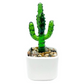 Saguaro Cactus - Milano Art Glass Plant - 4-3/4-in - Mellow Monkey
