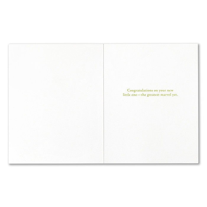 Positively Green New Baby Greeting Card - "...There are still marvels in the world..." Josef Albers - Mellow Monkey