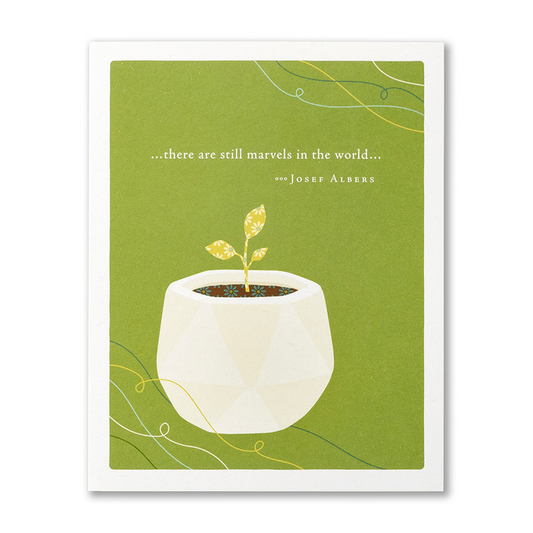 Positively Green New Baby Greeting Card - "...There are still marvels in the world..." Josef Albers - Mellow Monkey