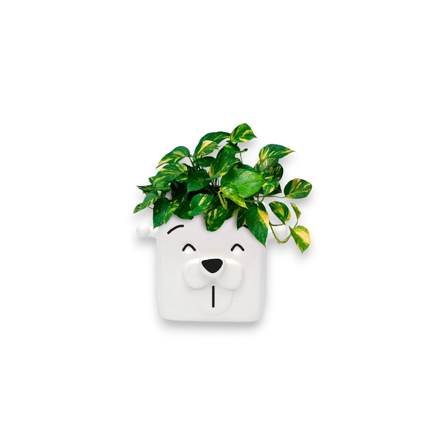 Puppy Planter - Mellow Monkey