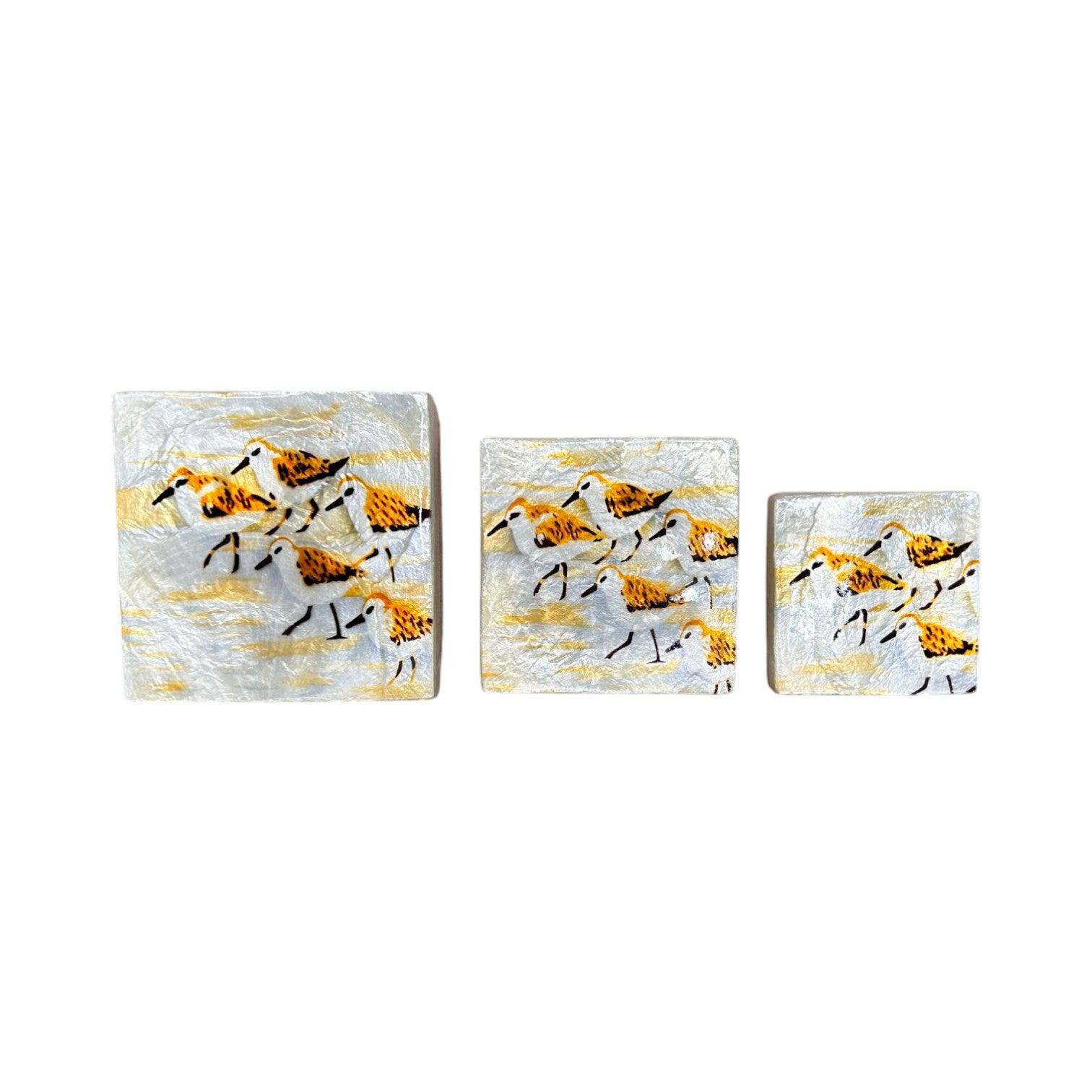 Capiz Sandpiper - Square Trinket Box - Mellow Monkey