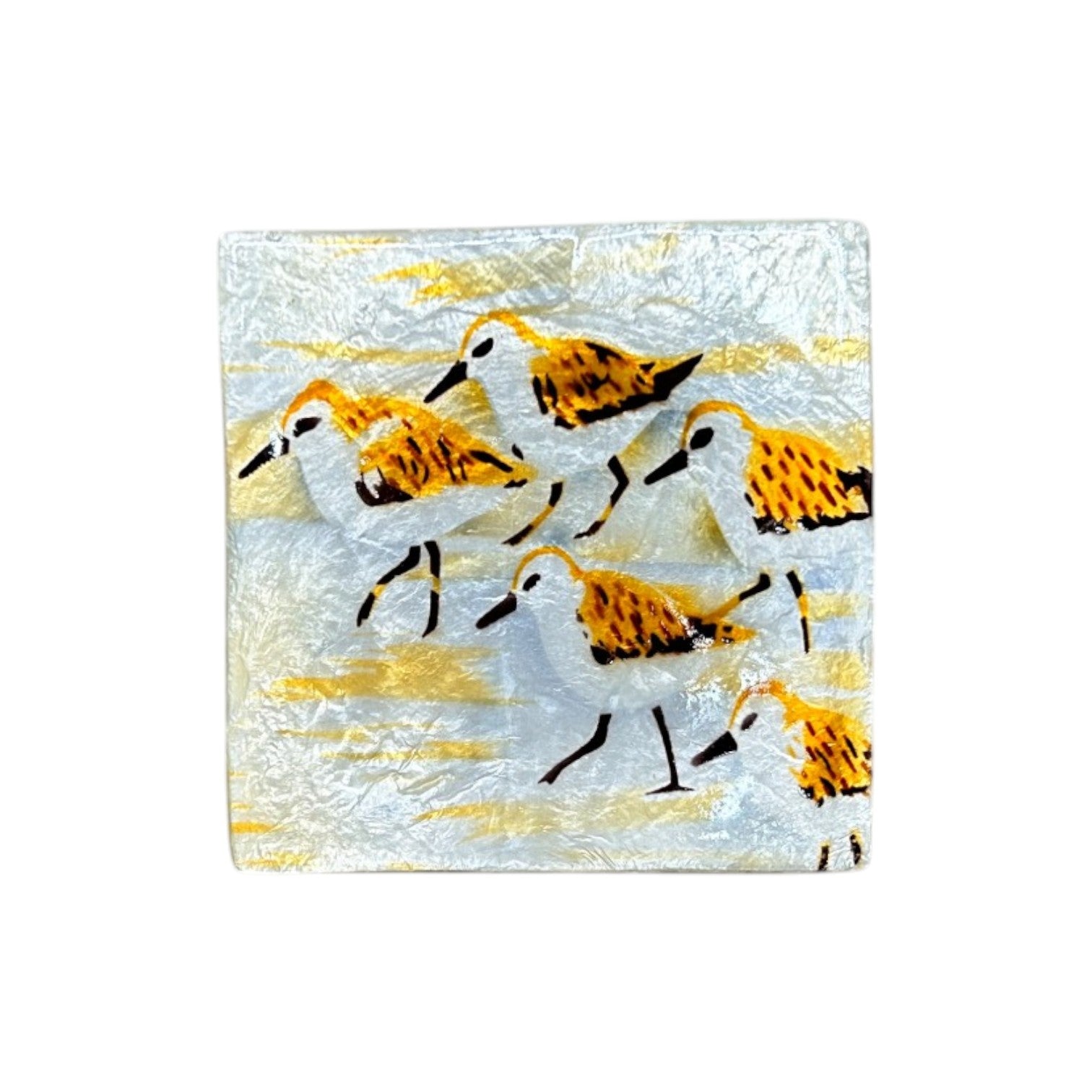 Capiz Sandpiper - Square Trinket Box - Mellow Monkey