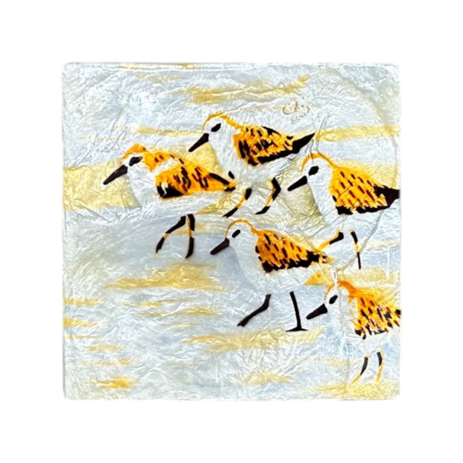 Capiz Sandpiper - Square Trinket Box - Mellow Monkey