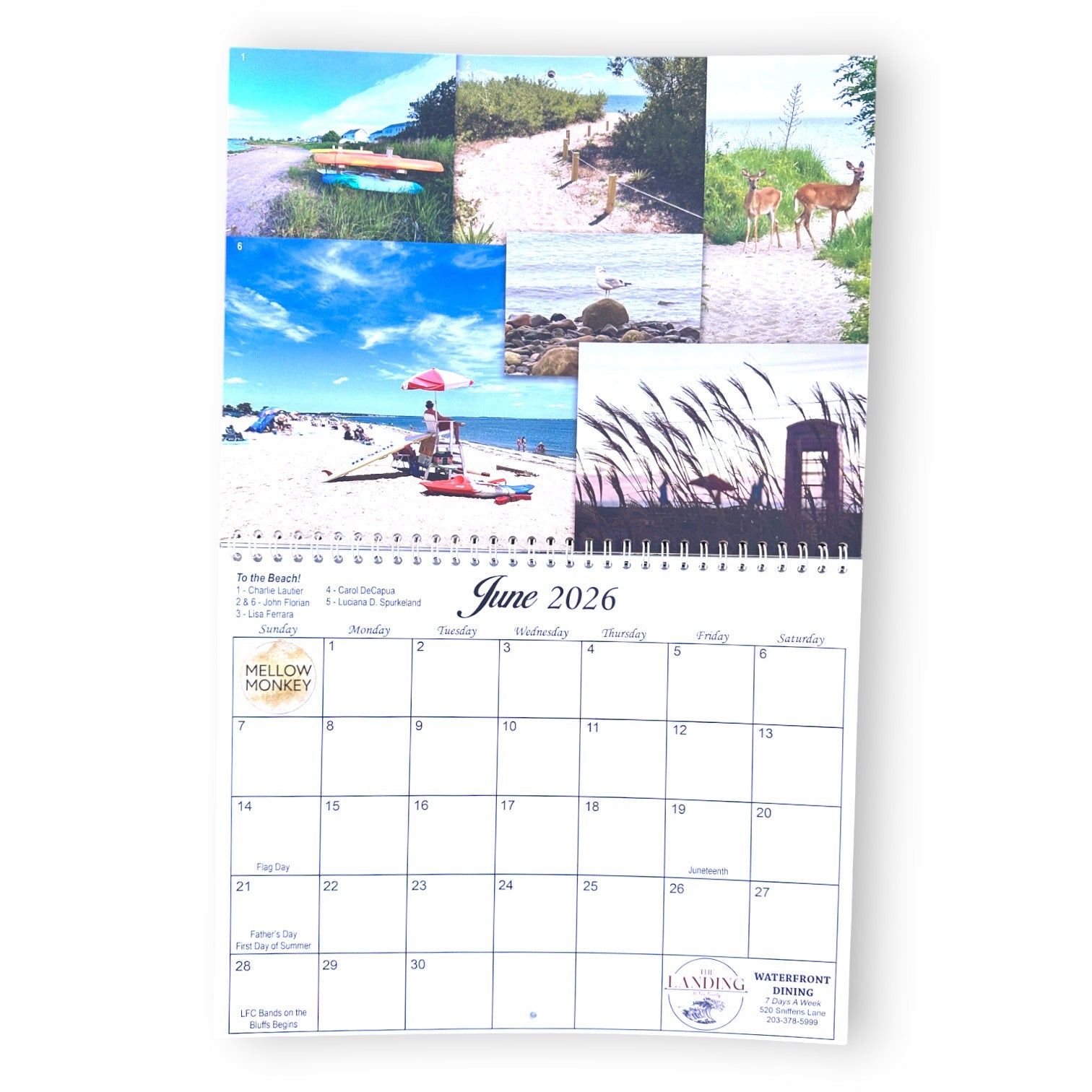 2026 Lordship By The Sea Wall Calendar - Benefit Fundraiser - Mellow Monkey