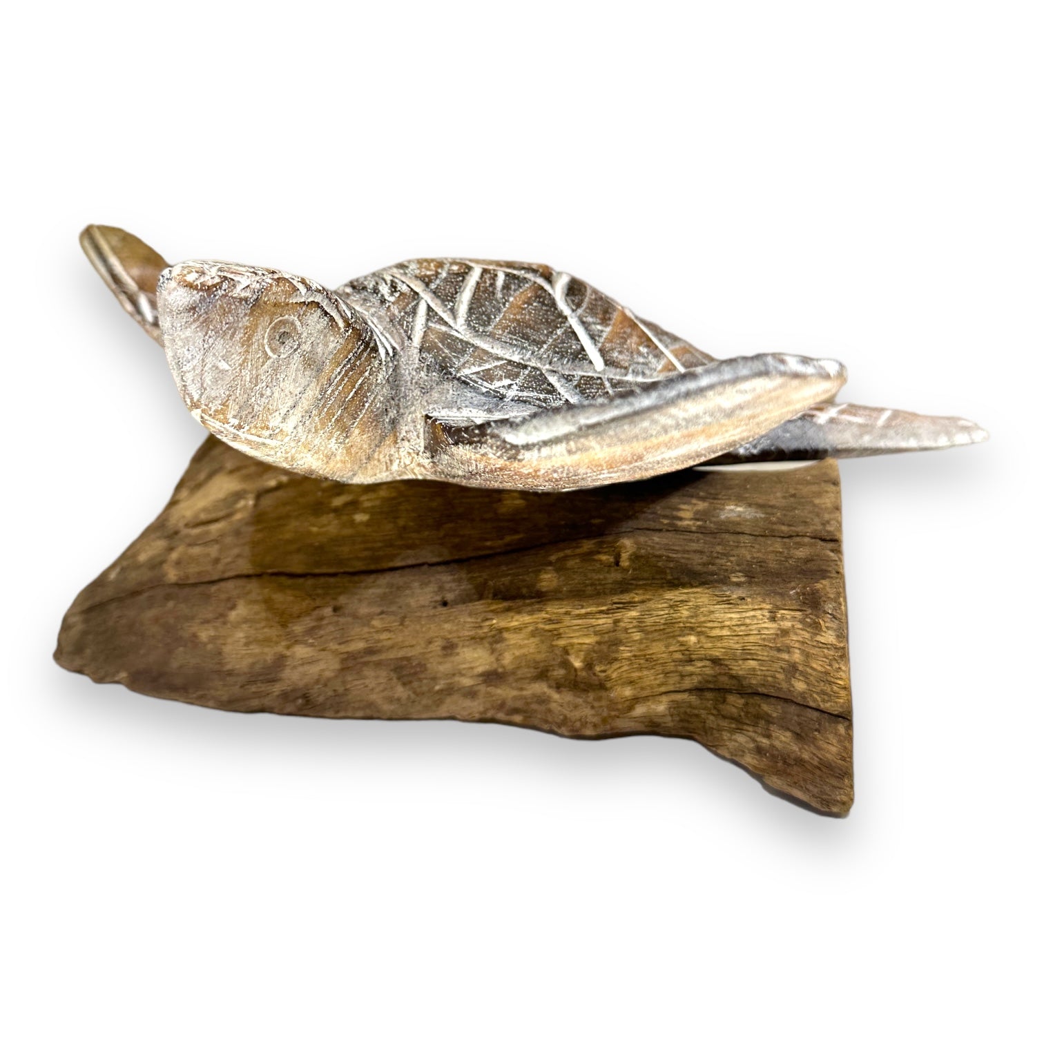 White Washed Carved Wood Sea Turtle - 8-in - Mellow Monkey