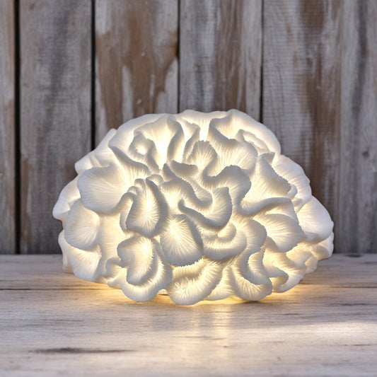 Illuminated Coral Lamp - 12-1/2-in - Mellow Monkey