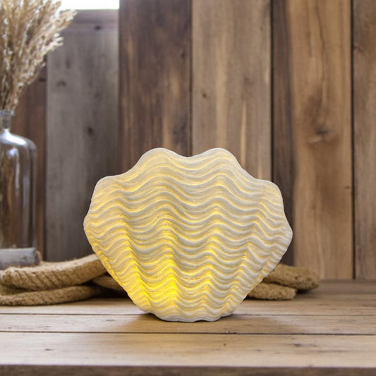 Illuminated Scallop Shell Lamp - 11-3/4-in - Mellow Monkey