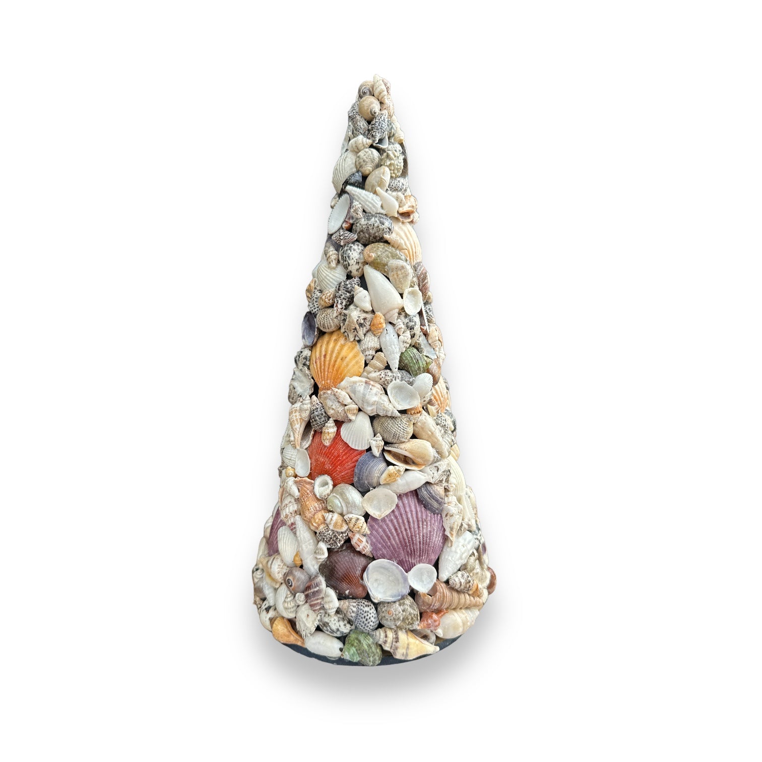 Multi-Color Seashell Tree - 12-in - Mellow Monkey