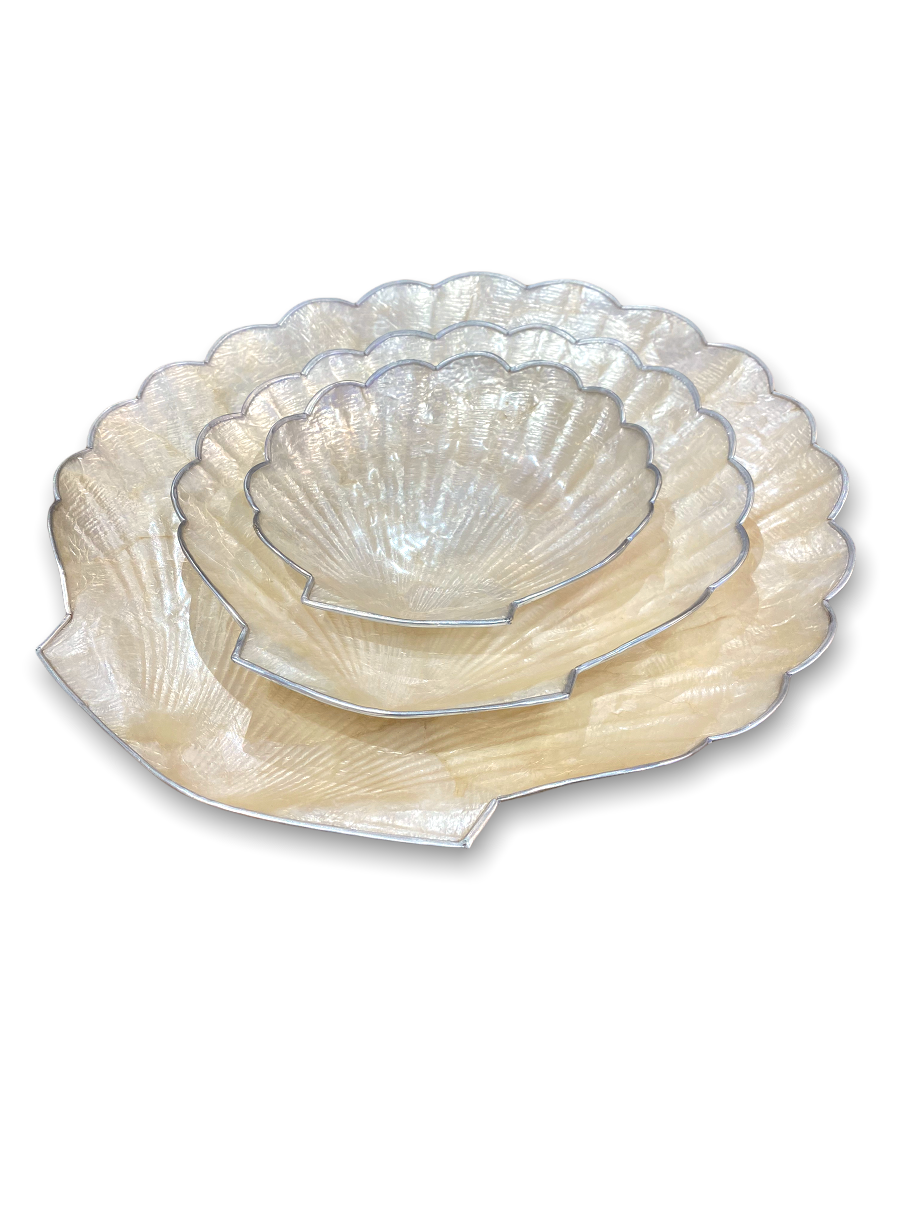 White Capiz Scallop Shell Shaped Dish with Silver Metal Edge - Mellow Monkey