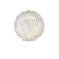 White Capiz Scallop Shell Shaped Dish with Silver Metal Edge - Mellow Monkey