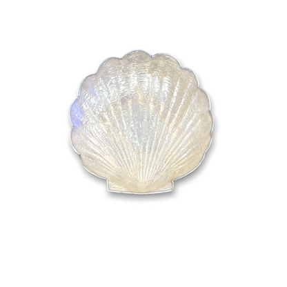White Capiz Scallop Shell Shaped Dish with Silver Metal Edge - Mellow Monkey