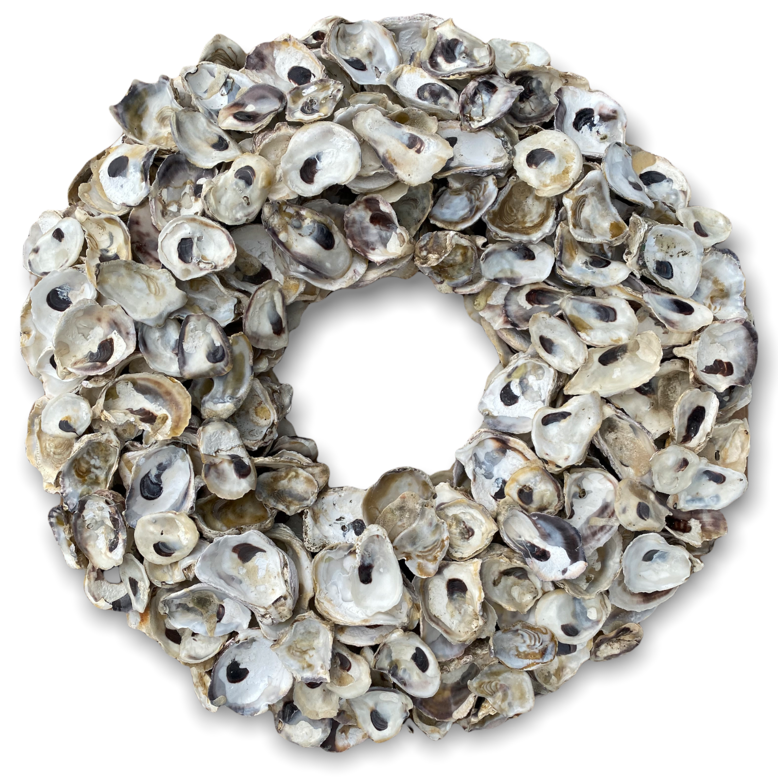 Oyster Shell Wreath - 16-in - Mellow Monkey