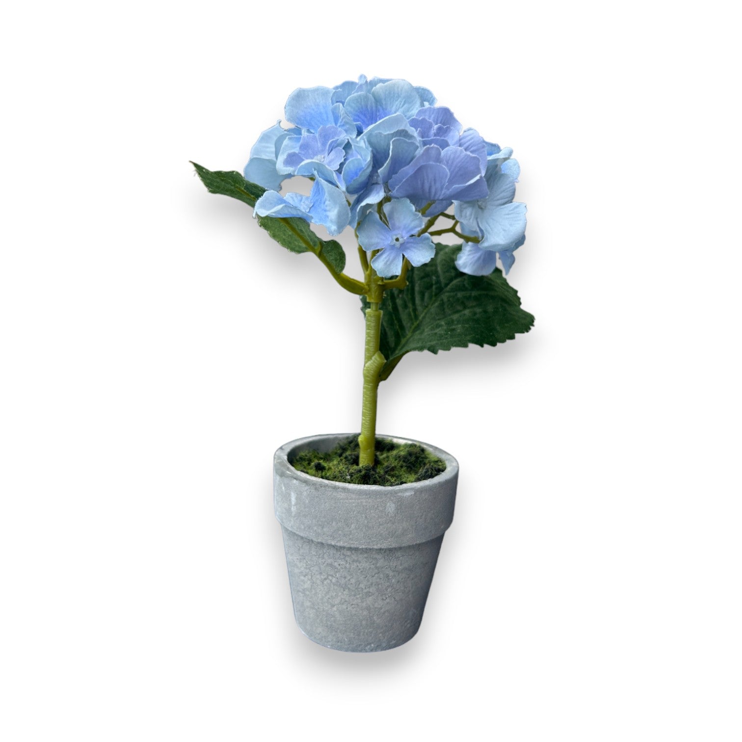 Faux Potted Blue Hydrangea - 6-in - Mellow Monkey