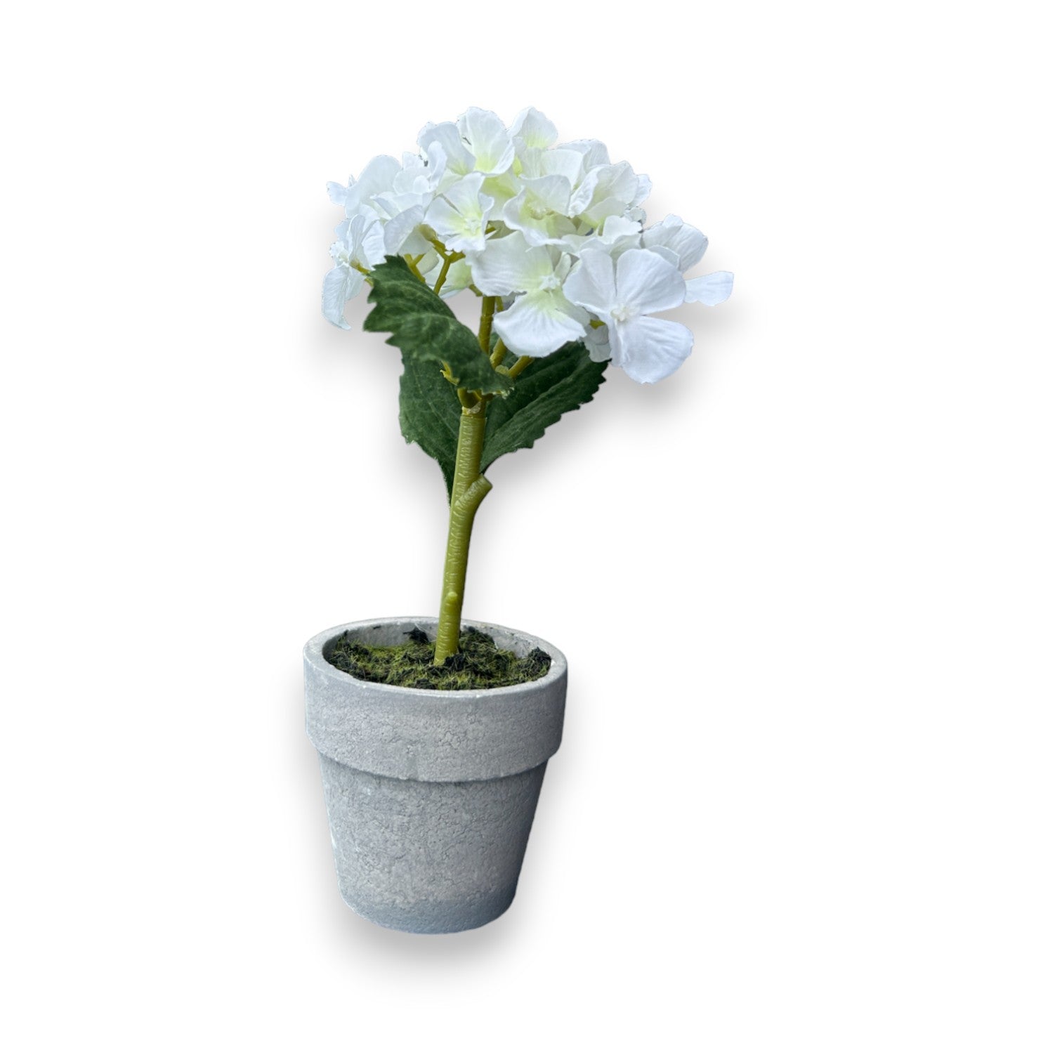 Faux Potted White Hydrangea - 6-in - Mellow Monkey