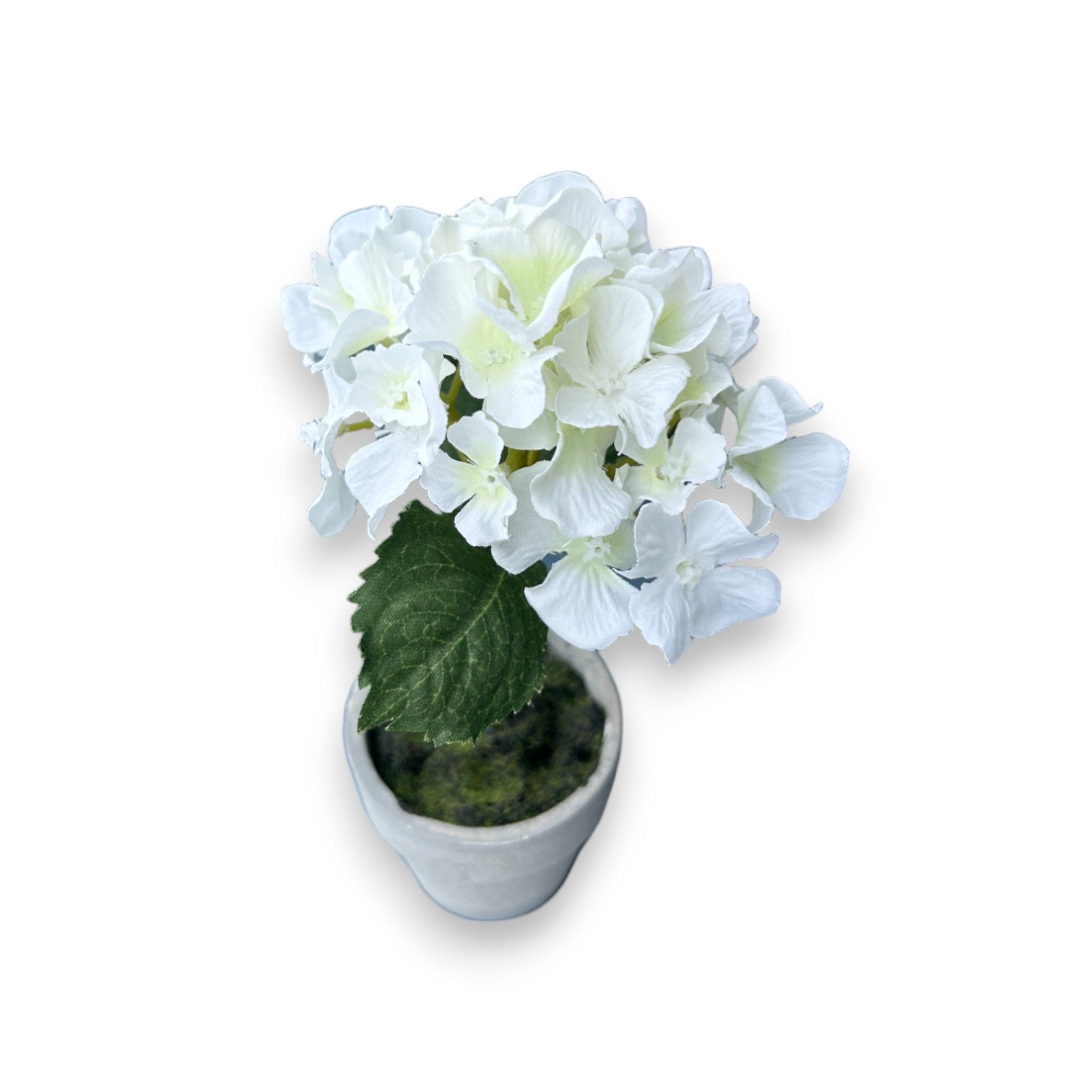 Faux Potted White Hydrangea - 6-in - Mellow Monkey