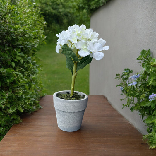 Faux Potted White Hydrangea - 6-in