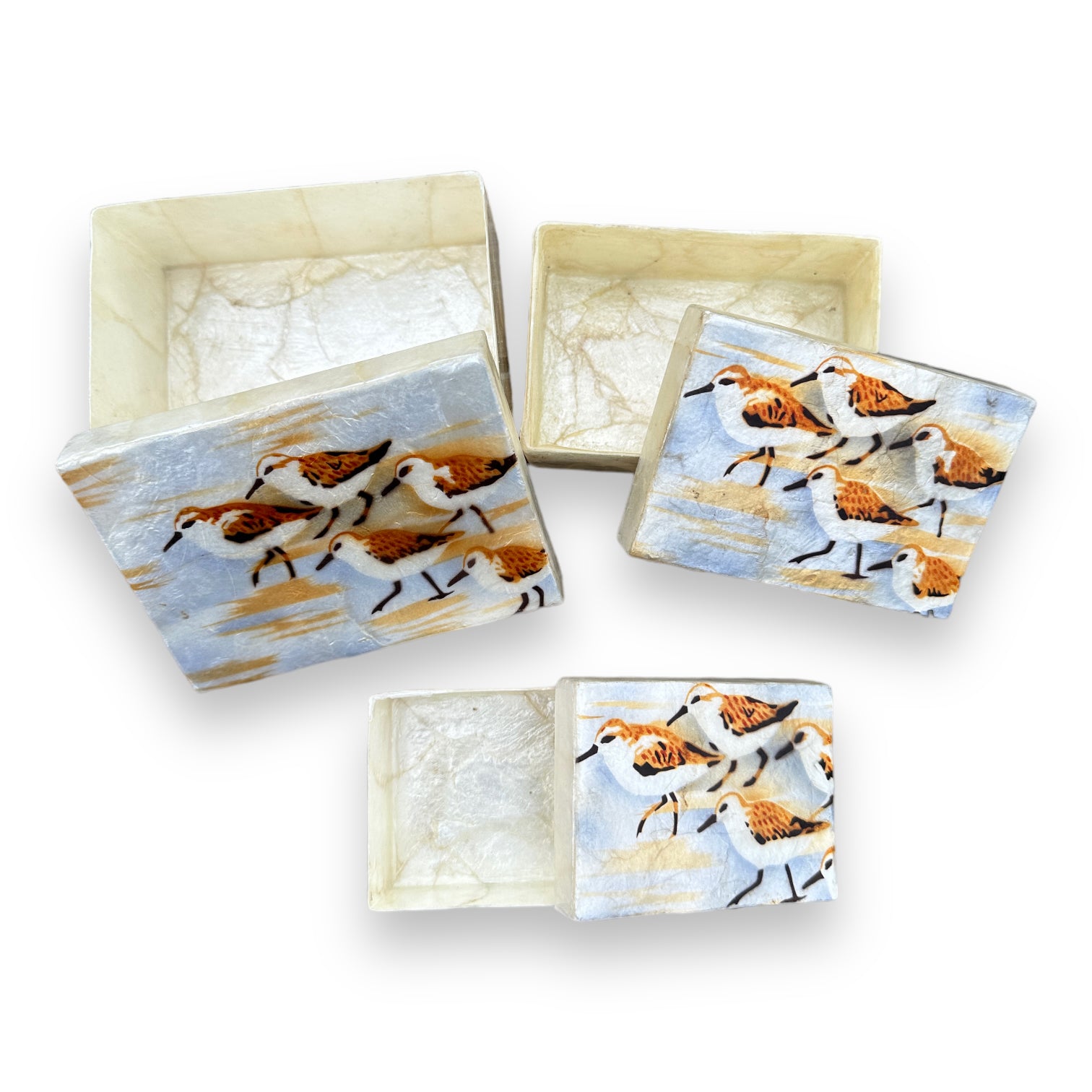 Capiz Trinket Box With Painted Sandpipers - Mellow Monkey