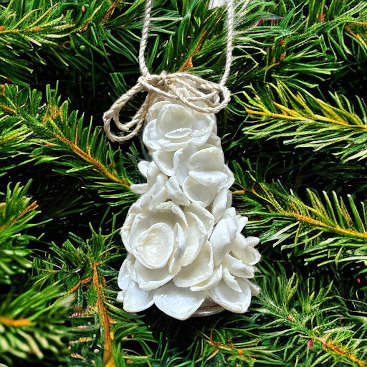 Tree - White Cay Cay Seashell Ornament - 3-in - Mellow Monkey