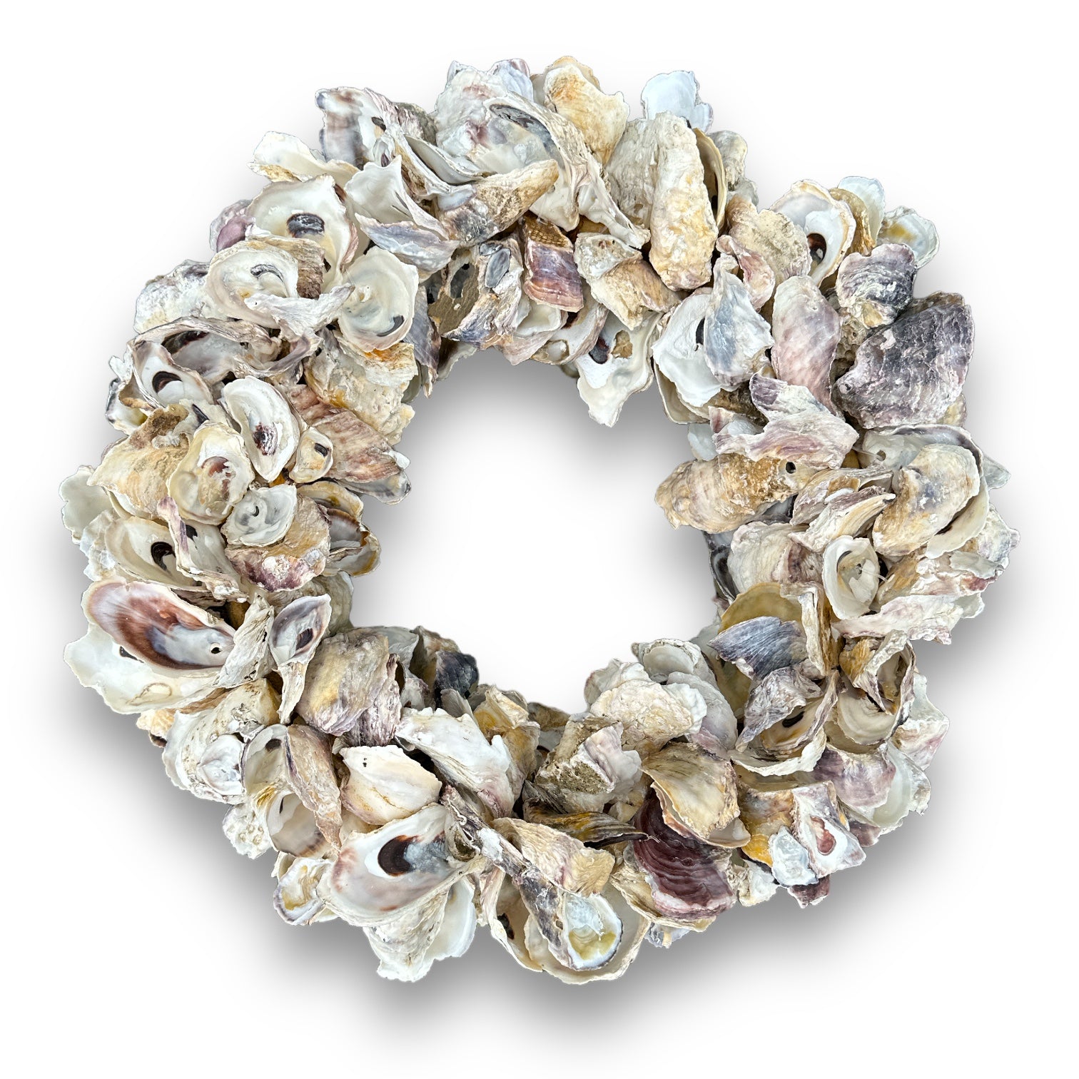 Oyster Shell Wreath with Twine Hanger - 16-in - Mellow Monkey
