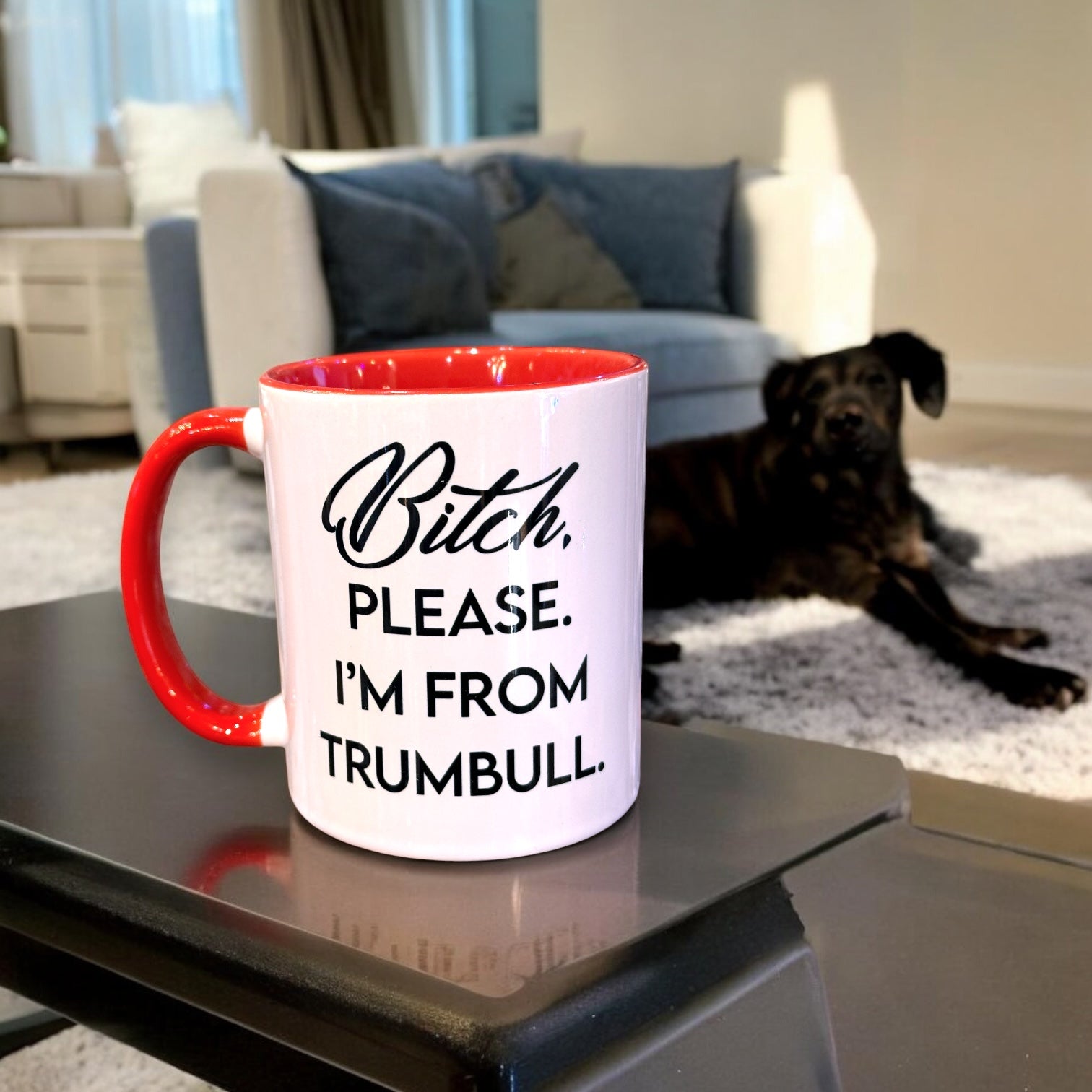 Bitch, Please. I'm From Trumbull - RED Ceramic Coffee Tea Mug 11-oz - Mellow Monkey