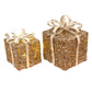 Christmas Lighted Gift Box - Champagne Gold - Mellow Monkey