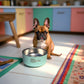The Real Housedogs of Milford - Pet Food Bowl - Teal- 32 oz. - Mellow Monkey