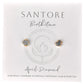 Santore Birthstone Stud Gemstone Earrings - Mellow Monkey
