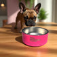 The Real Housedogs of Stratford - Pet Food Bowl -  Pink - 32 oz - Mellow Monkey